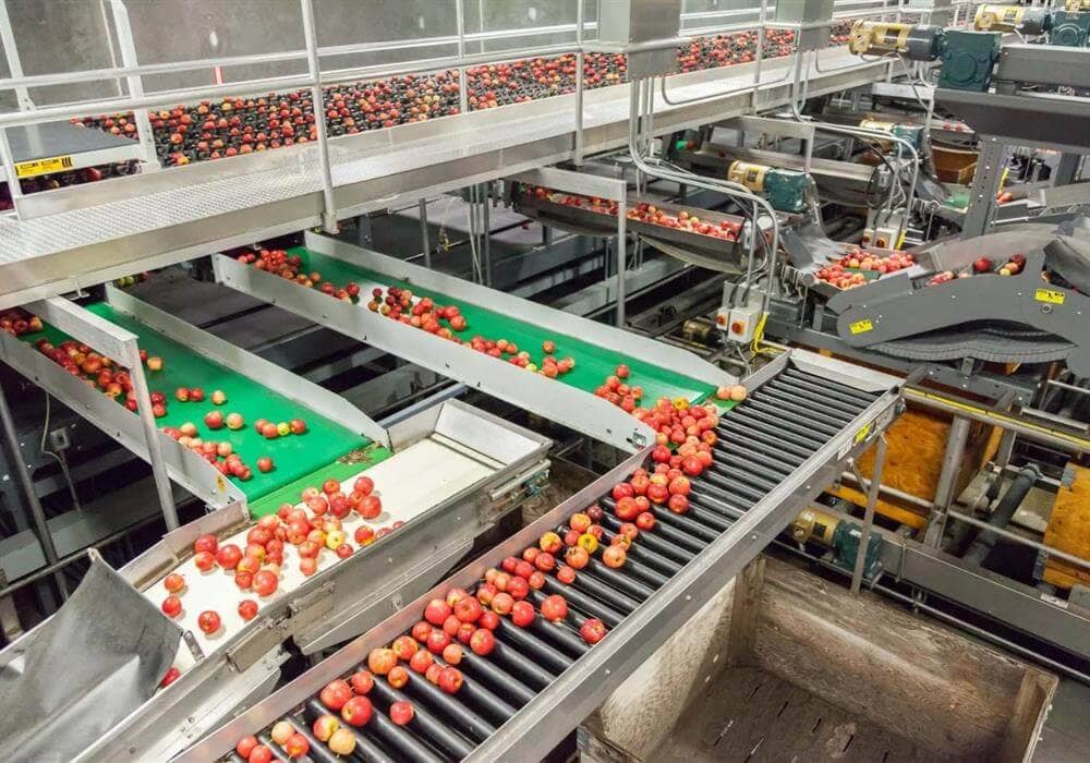 Food Processing Plants